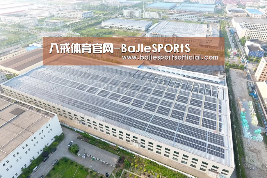 案例展示一