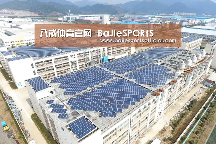 案例展示四