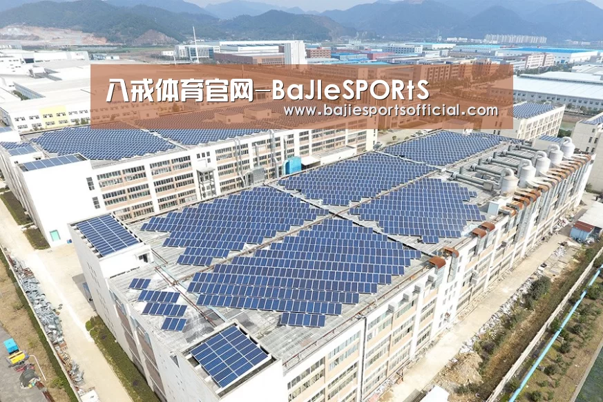 案例展示二