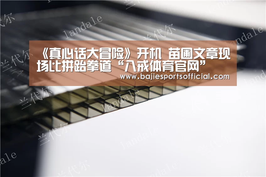 《真心话大冒险》开机 苗圃文章现场比拼跆拳道“八戒体育官网”(图4) 八戒体育