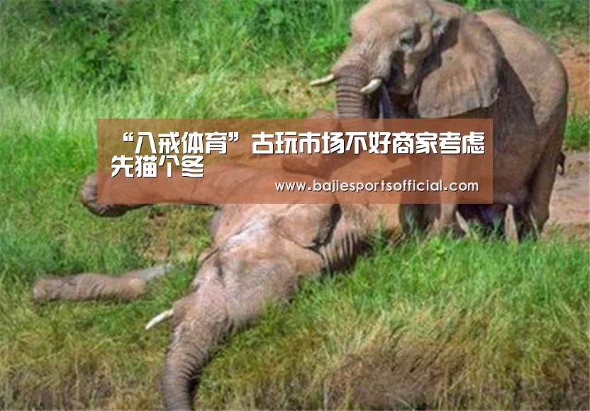 “八戒体育”古玩市场不好商家考虑先猫个冬